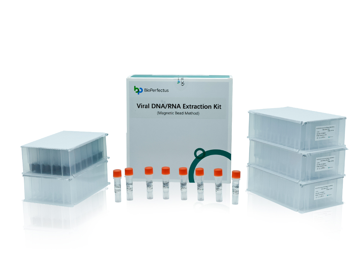 BioPerfectus Viral DNA RNA Extraction Kit Magnetic Bead Method