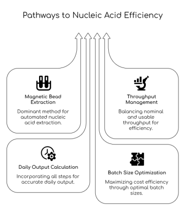 pathways to nucleic acid efficiency