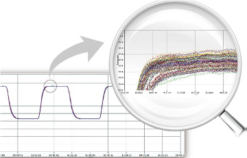 Real-time PCR amplification curves illustrating signal analysis and assay performance