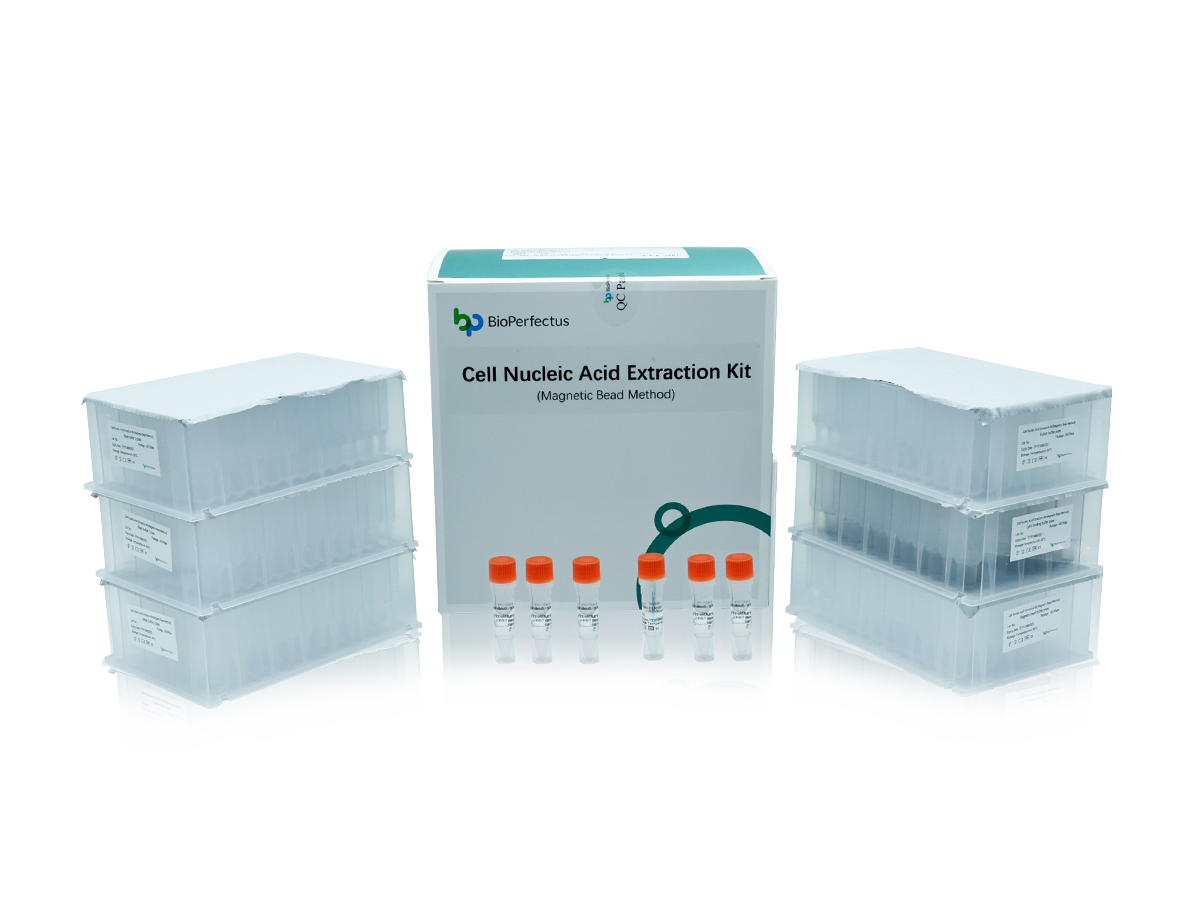 Cell Nucleic Acid Extraction Kit (Magnetic Bead Method)
