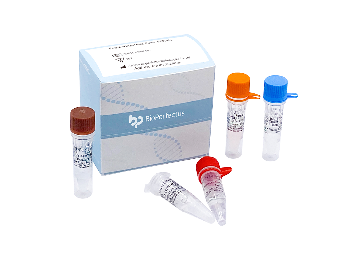 Filovirus Real Time PCR Kit