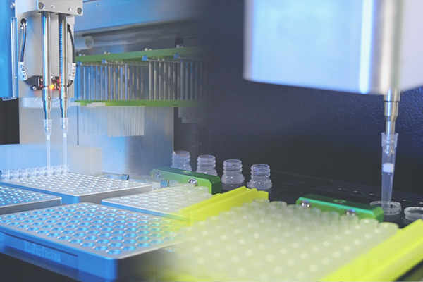 Automated nucleic acid extraction system processing laboratory samples